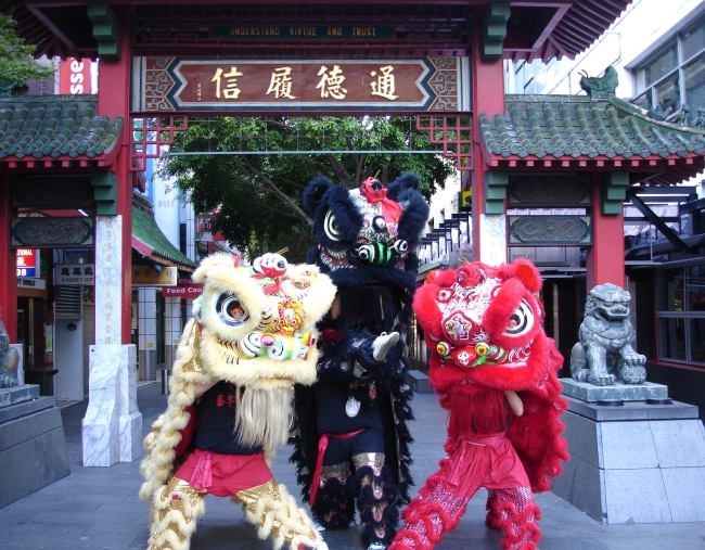 Lions in Chinatown